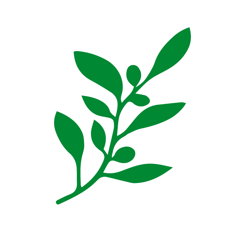 IPI Final Logo_Olive Branch